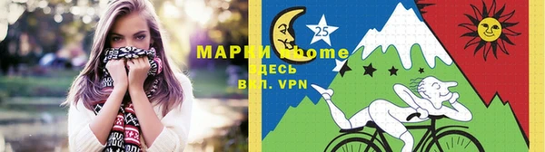 ГАЛЛЮЦИНОГЕННЫЕ ГРИБЫ Инсар