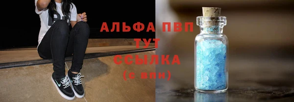 ГАЛЛЮЦИНОГЕННЫЕ ГРИБЫ Инсар