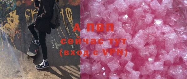 ГАЛЛЮЦИНОГЕННЫЕ ГРИБЫ Инсар