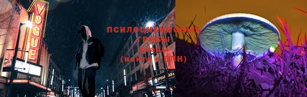 гидропоника Инта