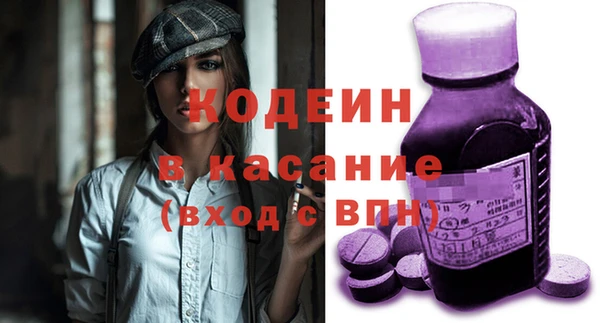 ГАЛЛЮЦИНОГЕННЫЕ ГРИБЫ Инсар